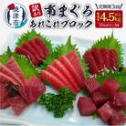 【定期便3回】訳あり南まぐろあれこれ1.5kg以上(b100-053)
