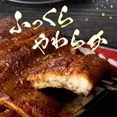 静岡産うなぎ「静岡ご鰻悦」(a20-226)