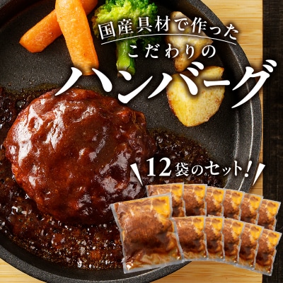 デミグラスハンバーグ 140g×12袋(a10-966)