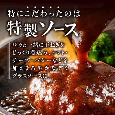 デミグラスハンバーグ 140g×12袋(a10-966)