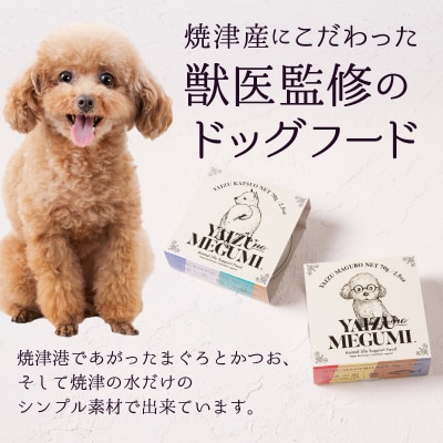 ペット フード 犬 焼津の恵 70g缶 鰹 鮪 計10缶 (a10-947)