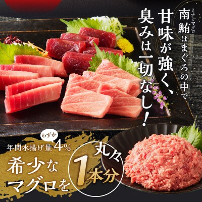 【定期便10回】南鮪 1本 総重量約29kg(各月約2.9kg)(m10-001)