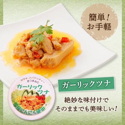 ネギトロ丼用まぐろたたきと焼津ガーリックツナ缶セット(a10-994)