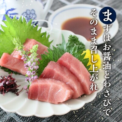 天然南まぐろとたたき身 6回隔月でお届け(b150-032)