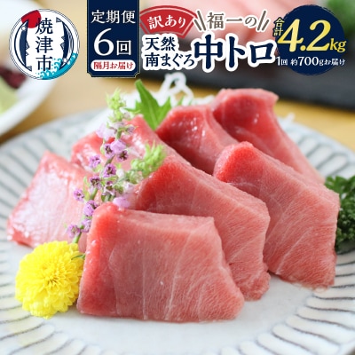訳あり【定期便 6回隔月でお届け】南鮪・刺身・中トロ(約700g)(a60-021)