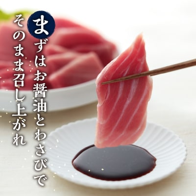 【定期便】 天然本まぐろセット 5回隔月で届け(b200-037)