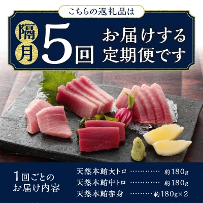 【定期便】 天然本まぐろセット 5回隔月で届け(b200-037)