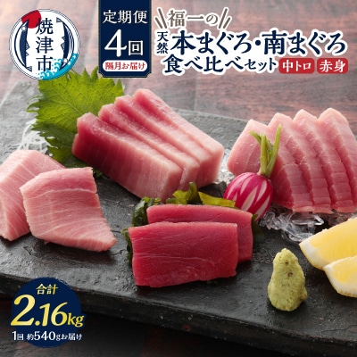 天然本まぐろ 南まぐろ食べ比べセット 4回隔月でお届け(b100-072)