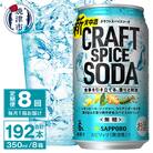 【定期便8回】サッポロ クラフトスパイスソーダ 350ml×24本(T0077-1308)