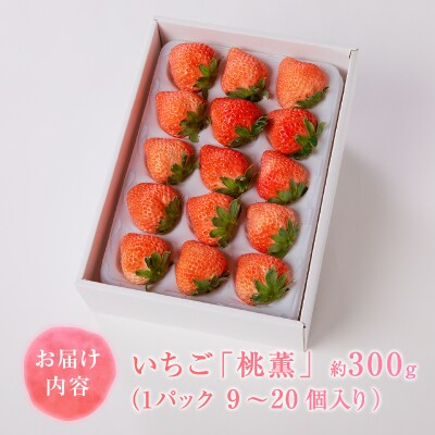 いちご 桃薫(とうくん)大粒1パック(約300g)(a10-989)