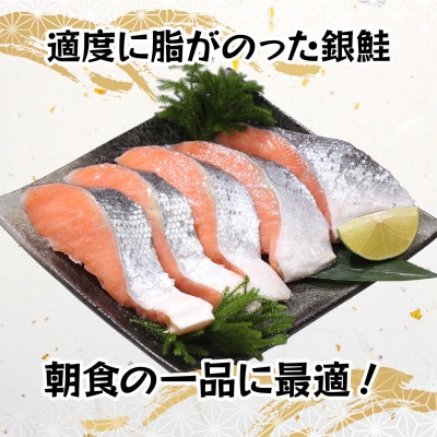 銀鮭 甘塩 10切入(個包装真空パック)(a10-1008)