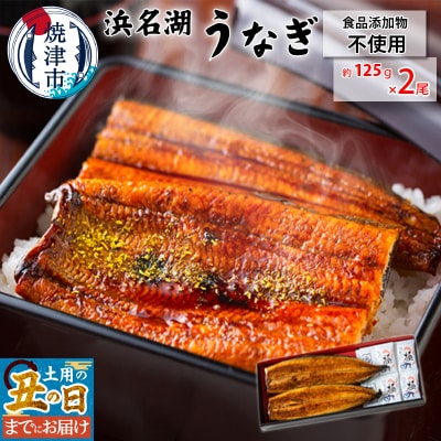 【土用の丑の日までにお届け】食品添加物不使用の 浜名湖うなぎ蒲焼2尾(a15-609)