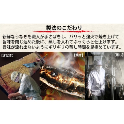 食品添加物不使用の 浜名湖うなぎ蒲焼2尾(a15-609)