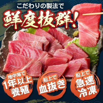 本マグロ トロ ブツ 1kg(a18-105)