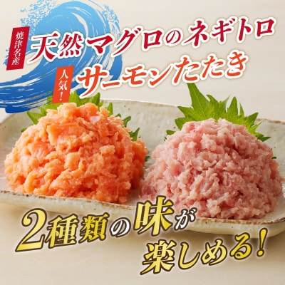 天然ネギトロ&サーモンたたき 2種盛り(80g×10パック)(a10-1053)