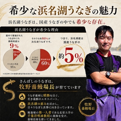 浜名湖うなぎ つゆだく ひつまぶし 4食セット(a15-617)