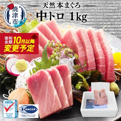 マグロ 中トロ 訳あり 天然 本まぐろ中トロ 1kg(a23-028)