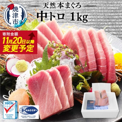 マグロ中トロ訳あり刺身冷凍炙り寿司丼ぶつ切りまぐろ専門店天然本まぐろ中トロ 1kg(a23-028)