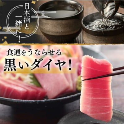 マグロ 中トロ 訳あり 天然 本まぐろ中トロ 1kg(a23-028)