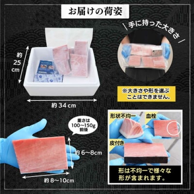 マグロ 中トロ 訳あり 天然 本まぐろ中トロ 1kg(a23-028)