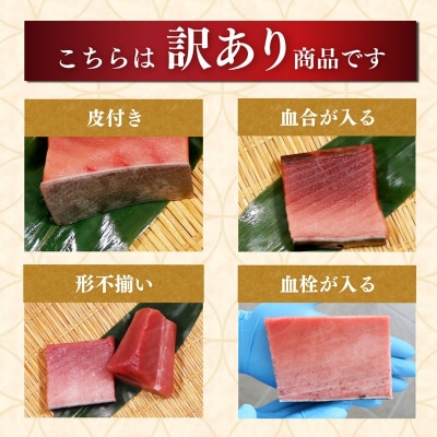 マグロ 中トロ 訳あり 養殖 南まぐろ中トロ 1kg(a17-098)