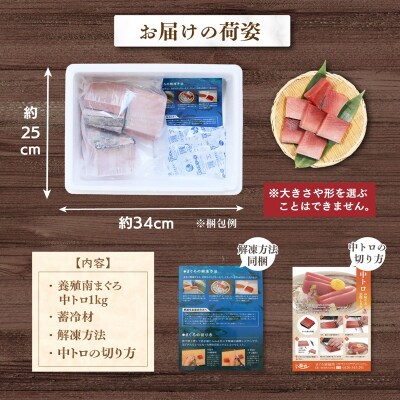 マグロ 中トロ 訳あり 養殖 南まぐろ中トロ 1kg(a17-098)