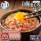天然南まぐろ 100%使用 ねぎとろ 1Kg(100g×10袋)(a12-251)