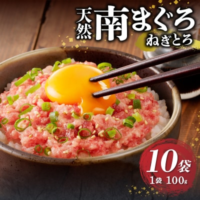 天然南まぐろ 100%使用 ねぎとろ 1Kg(100g×10袋)(a12-251)