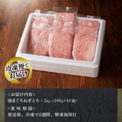 天然南まぐろ 100%使用 ねぎとろ 1Kg(100g×10袋)(a12-251)