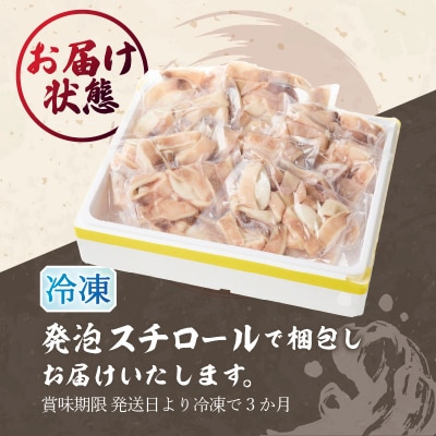 訳あり アルゼンチン産 マツイカ リングカット 2kg(a10-1105)