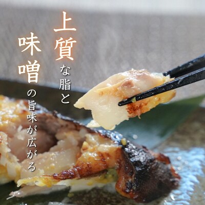 【定期便3回】銀鱈西京漬け 約80g×10切れ(a36-011)