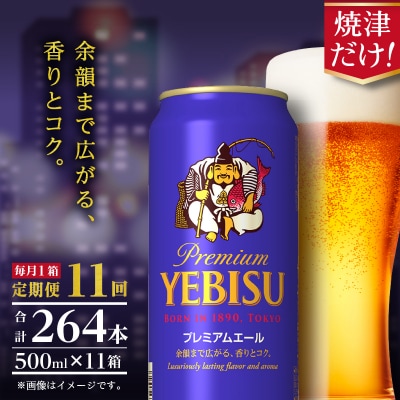 【定期便11回】エビスプレミアムエール500ml缶×1箱(24本)(T0093-2211)