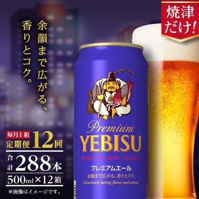 【定期便12回】エビスプレミアムエール500ml缶×1箱(24本)(T0093-2212)