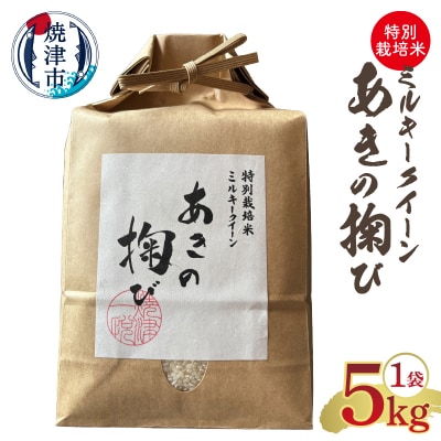 ミルキークイーン あきの掬び 5kg×1袋(a19-057)