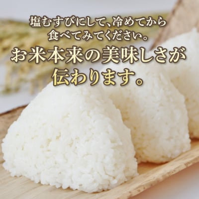 ミルキークイーン あきの掬び 5kg×1袋(a19-057)