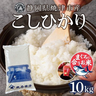 令和6年産 マグロによく合うお米 コシヒカリ 白米10kg(5kg×2袋)(a38-008)