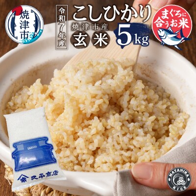 新米　令和7年産　マグロによく合うお米 コシヒカリ 玄米 5kg(a16-186)