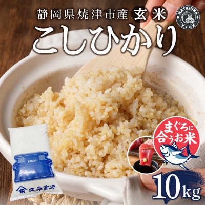 令和6年産 マグロによく合うお米 玄米 コシヒカリ 10kg(5kg×2袋)(a38-009)