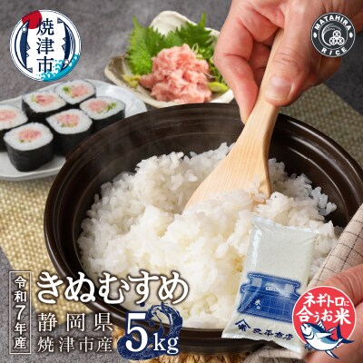 令和7年産 ネギトロと相性抜群のお米 きぬむすめ 米5kg(a13-130)