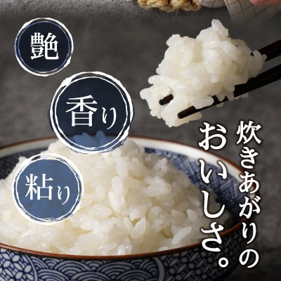 令和6年産　ネギトロと相性抜群のお米 きぬむすめ 米5kg(a19-053)