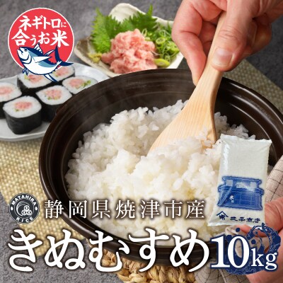 令和6年産 ネギトロと相性抜群のお米 きぬむすめ 白米10kg(5kg×2袋)(a38-010)