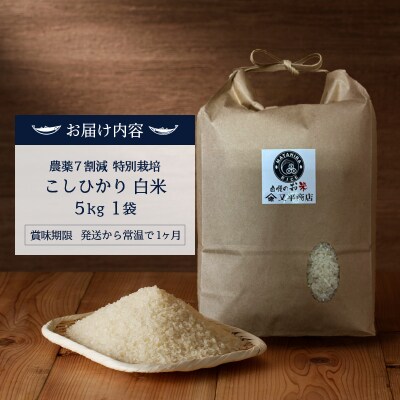 令和7年産 目減り 特別栽培 コシヒカリ 白米5kg(a20-452)