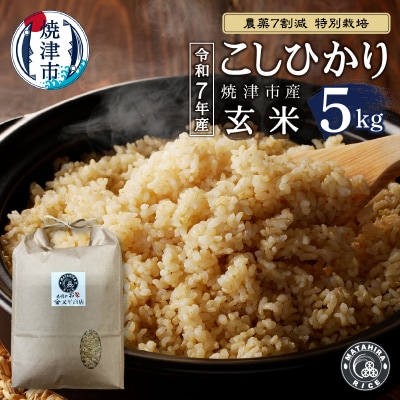 新米　令和7年産 特別栽培 コシヒカリ 玄米 5kg(a20-453)