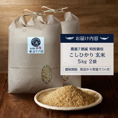 新米　令和7年産 特別栽培 コシヒカリ 玄米 10kg(5kg×2袋)(a40-107)