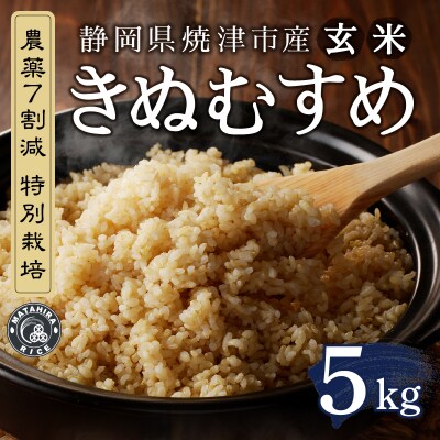 令和6年産　特別栽培 きぬむすめ 玄米 5kg(a25-060)