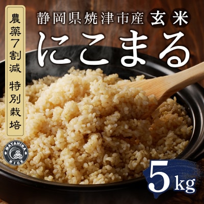 令和6年産 特別栽培 にこまる 玄米 5kg(a25-062)