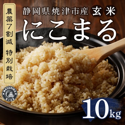令和6年産 特別栽培 にこまる 玄米 10kg(5kg×2袋)(a50-150)