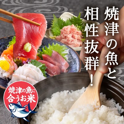 新米令和7年産5つ星お米マイスター厳選 焼津の魚に合う美味い米 にこまる白米5kg(a16-188)