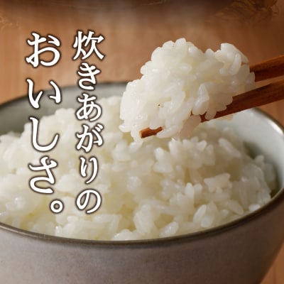 令和6年産　特別栽培 コシヒカリ または きぬむすめ 白米10kg(5kg×2袋)(a44-007)