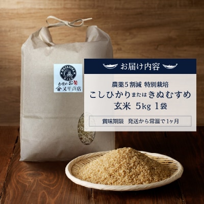 令和6年産　特別栽培 コシヒカリ または きぬむすめ 玄米 5kg(a22-057)
